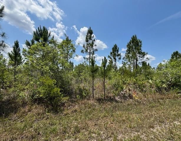 待售: $10,000 (0.50 acres)