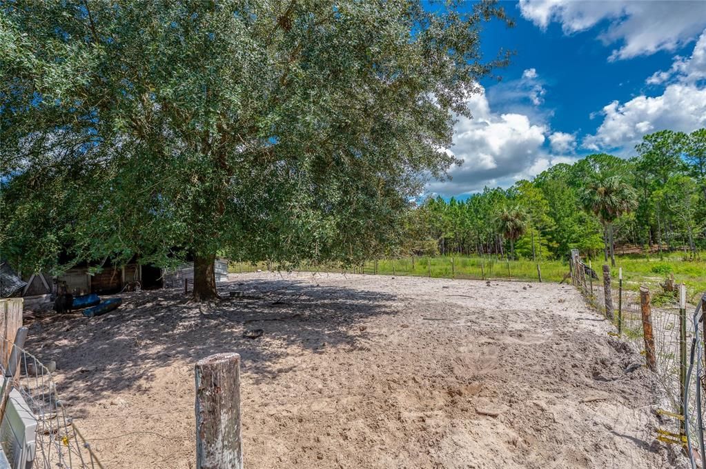 待售: $380,000 (3 贝兹, 2 浴室, 1440 平方英尺)