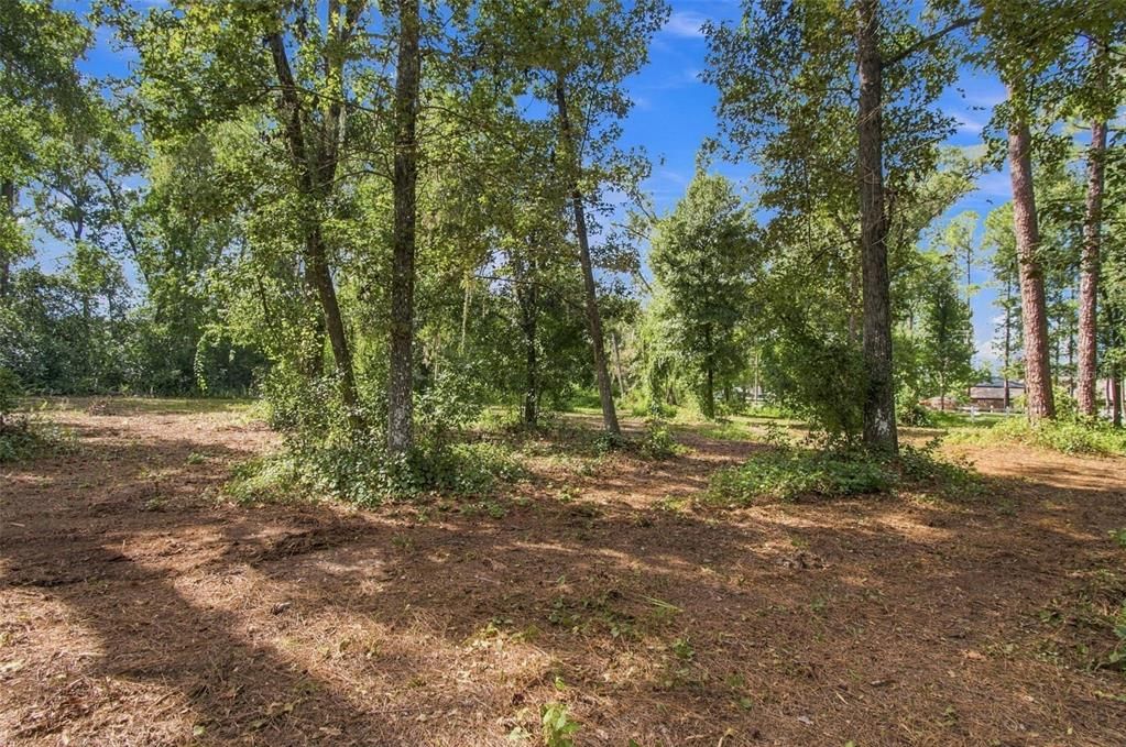 For Sale: $500,000 (2.74 acres)