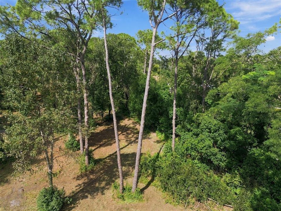 For Sale: $500,000 (2.74 acres)