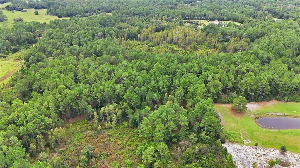待售: $12,000 (1.10 acres)