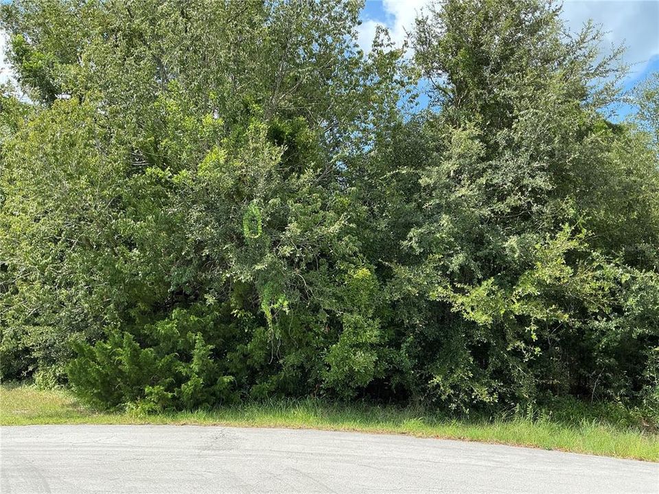 На продажу: $35,000 (0.37 acres)