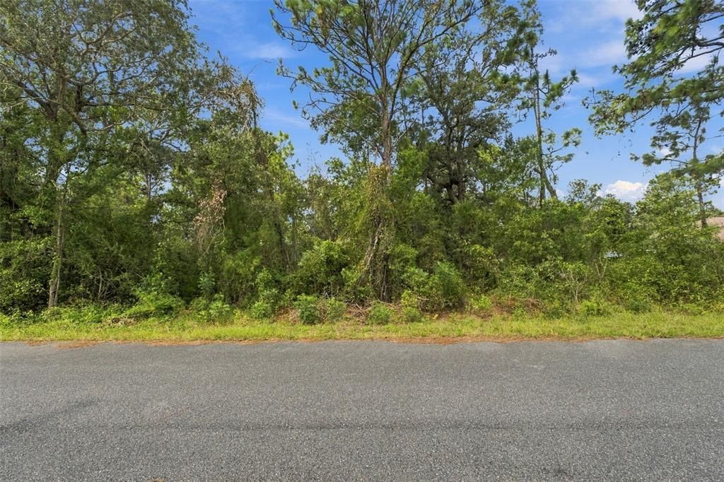 For Sale: $59,000 (0.46 acres)