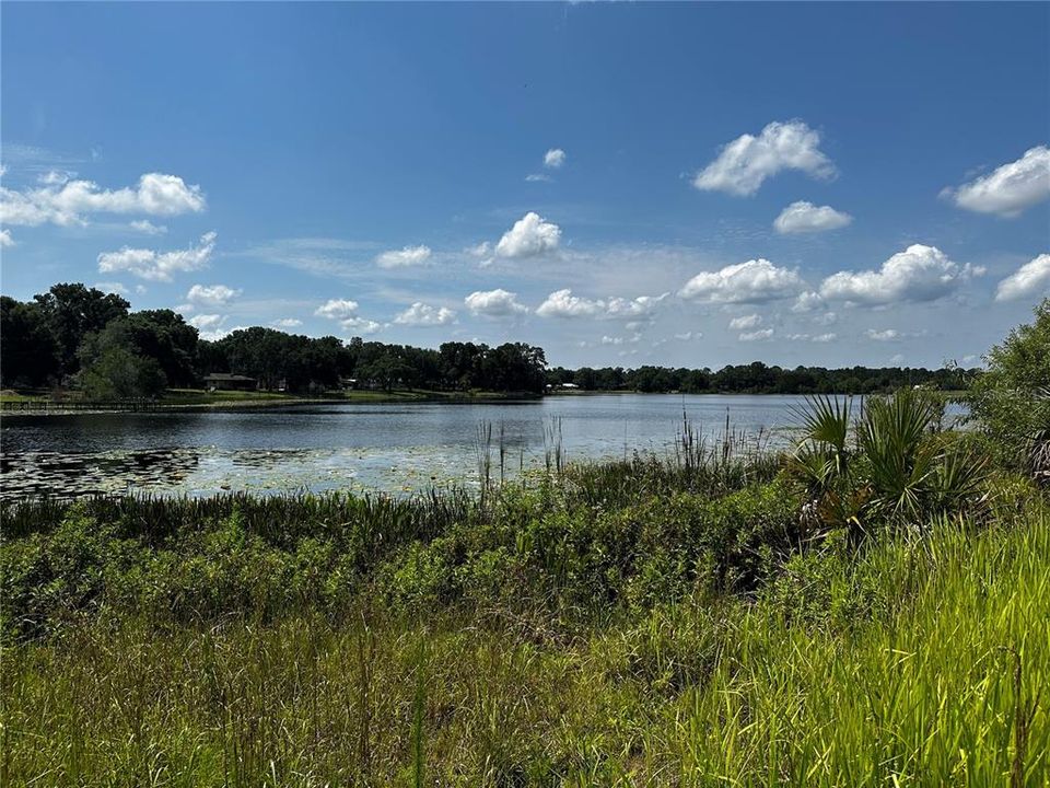 For Sale: $12,500 (0.05 acres)