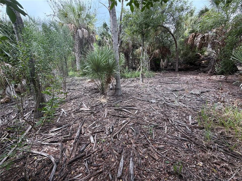 For Sale: $25,000 (0.23 acres)