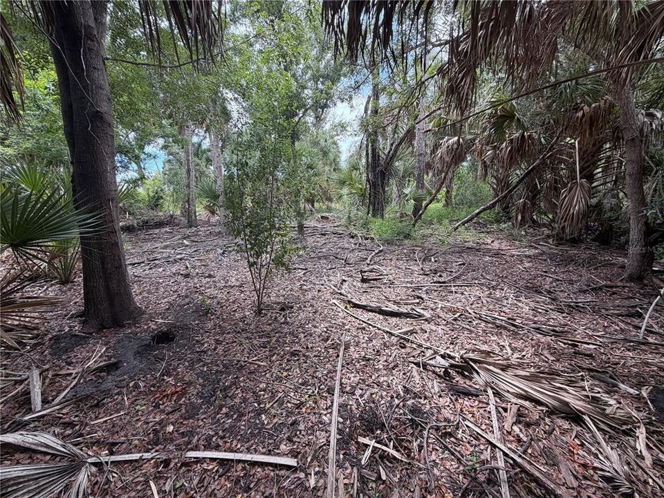 For Sale: $25,000 (0.23 acres)