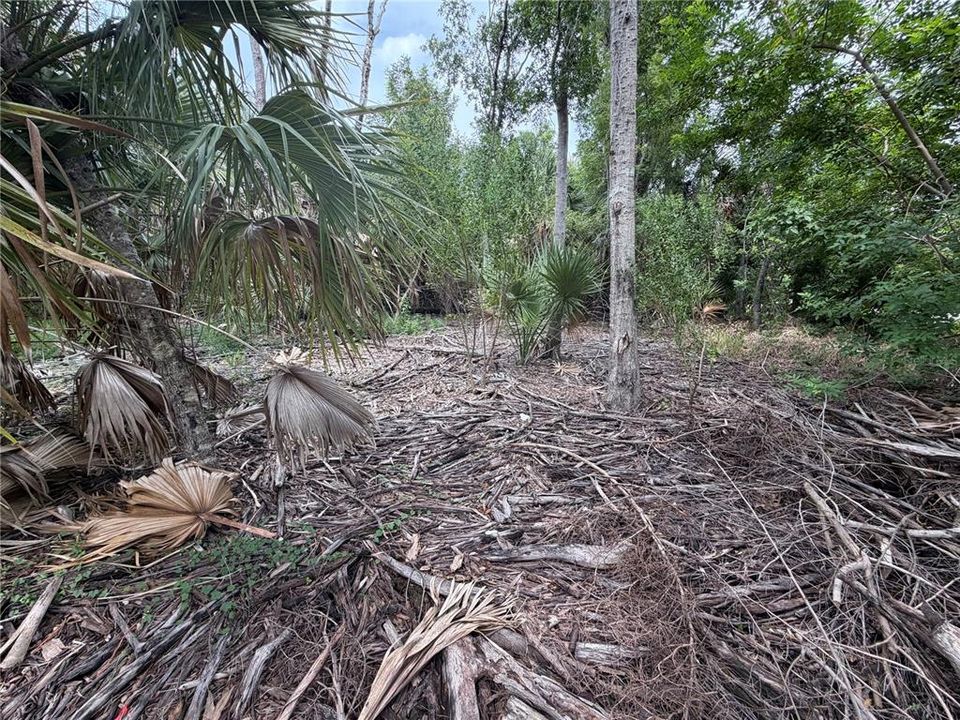 For Sale: $25,000 (0.23 acres)