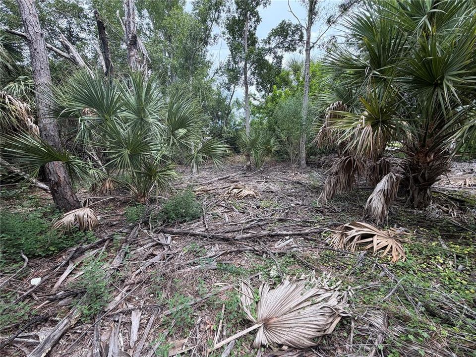 For Sale: $25,000 (0.23 acres)
