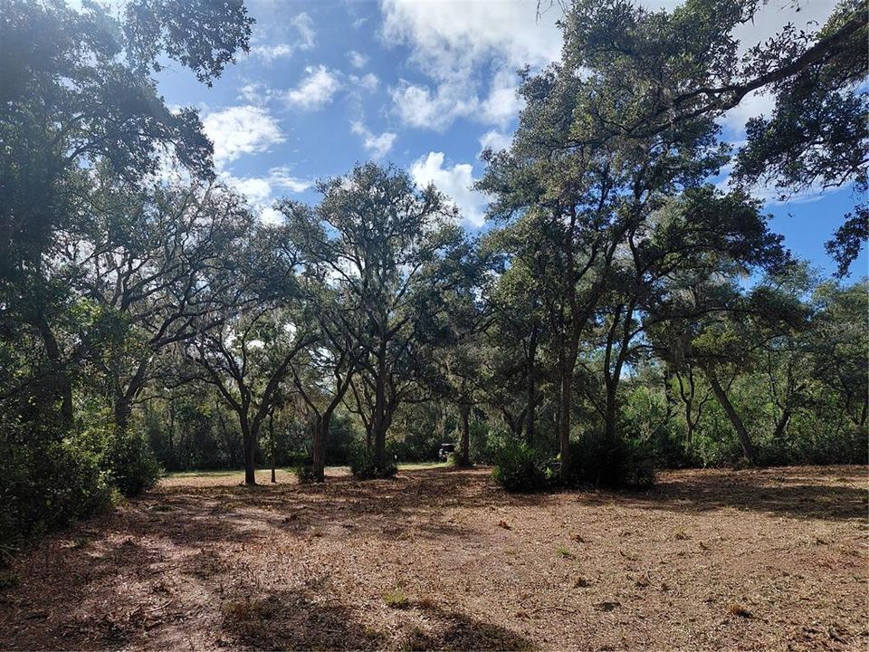На продажу: $35,000 (0.55 acres)