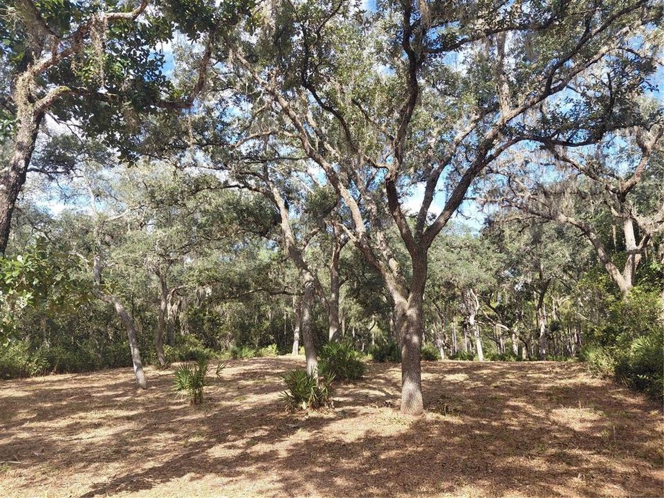 На продажу: $35,000 (0.55 acres)