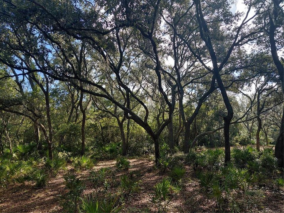 На продажу: $35,000 (0.55 acres)