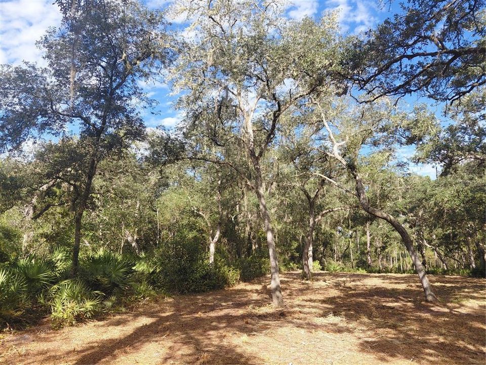 На продажу: $35,000 (0.55 acres)