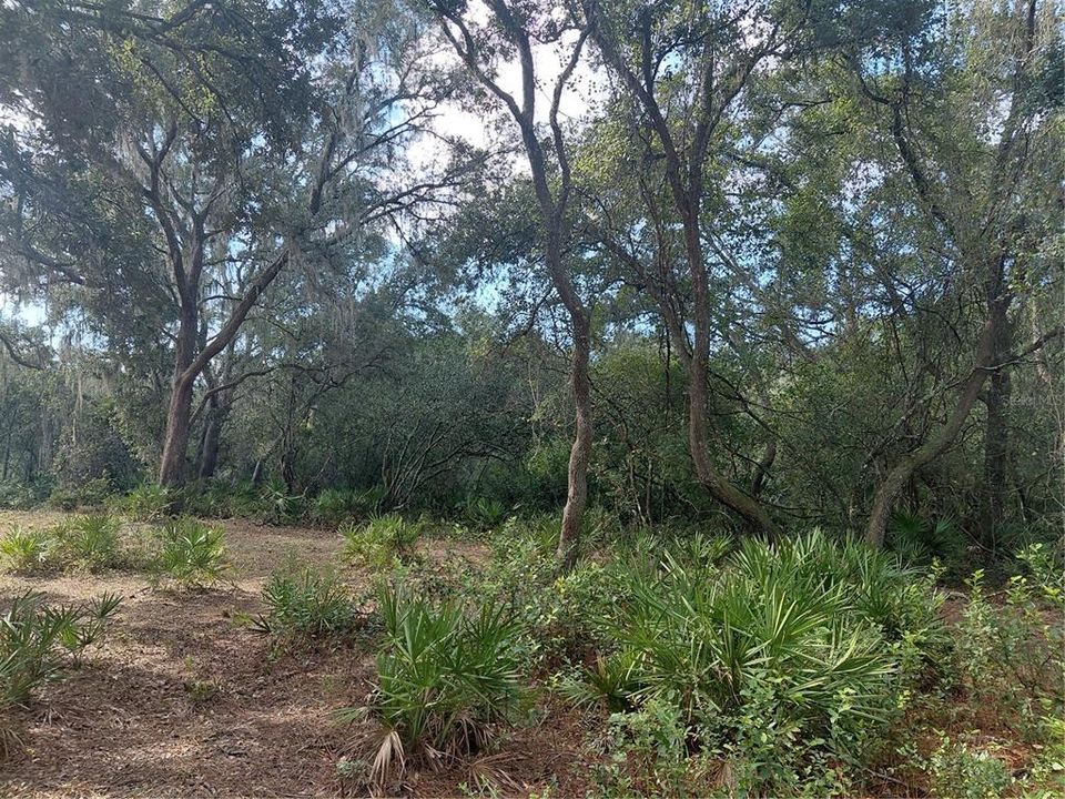 На продажу: $35,000 (0.55 acres)