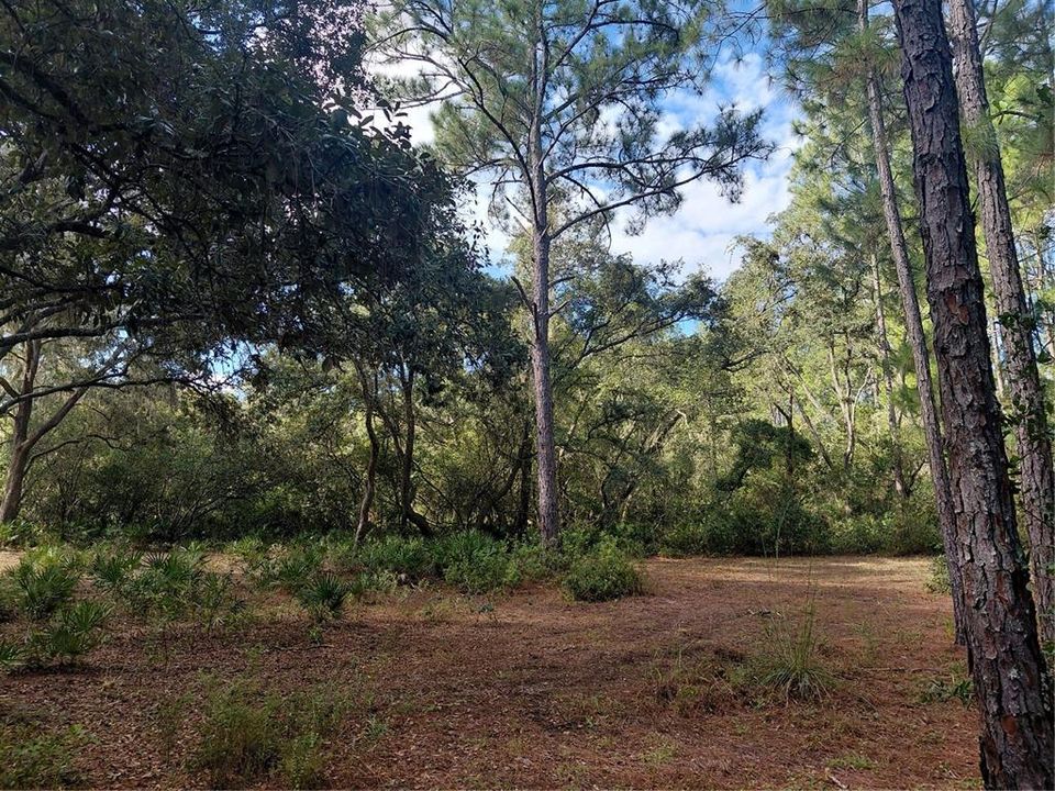 На продажу: $35,000 (0.55 acres)