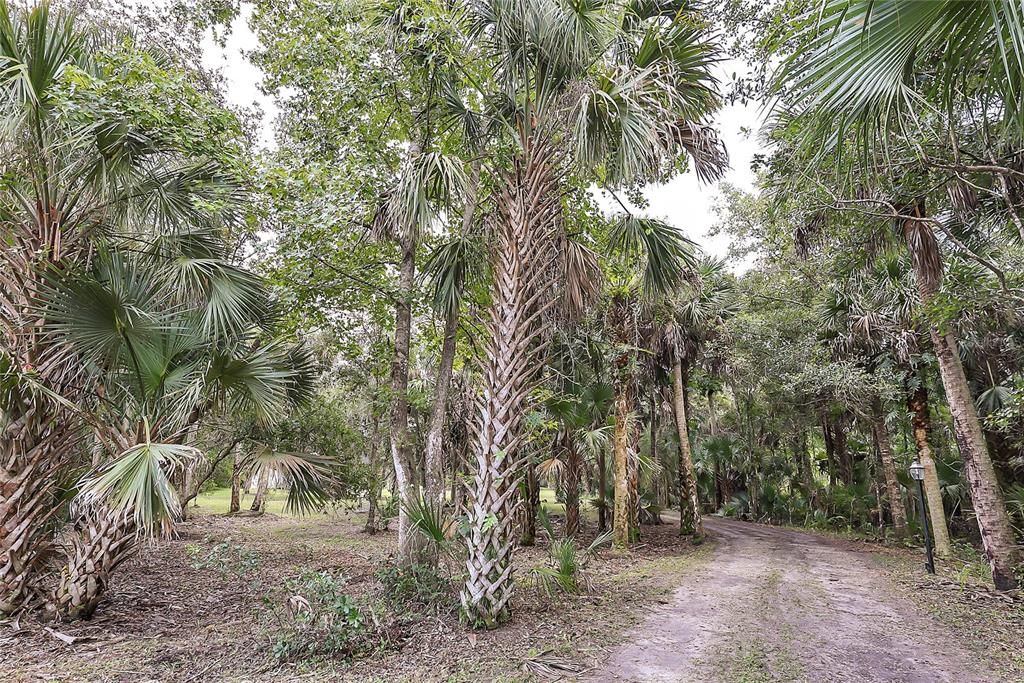 En Venta: $450,000 (2 camas, 1 baños, 1000 Pies cuadrados)