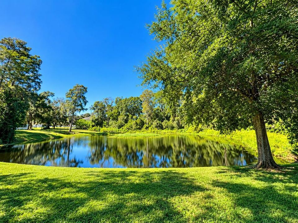 For Rent: $1,350 (1 beds, 1 baths, 644 Square Feet)