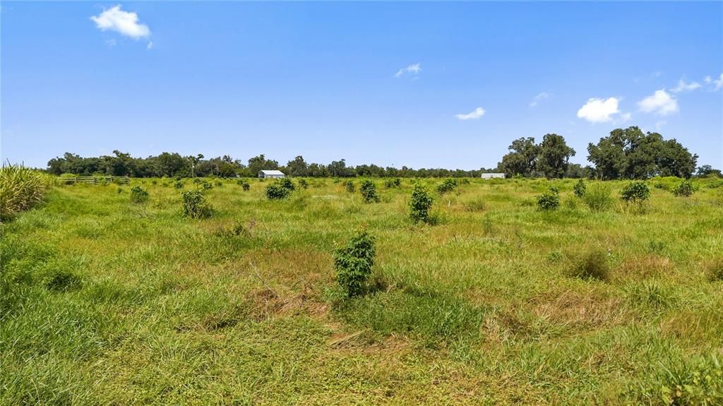 На продажу: $600,000 (4.34 acres)