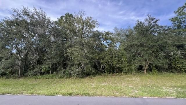 For Sale: $25,000 (0.23 acres)