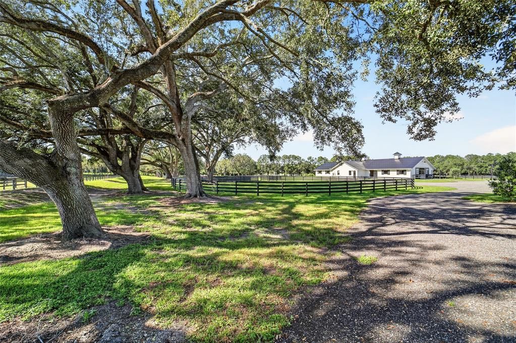 For Sale: $4,950,000 (3 beds, 3 baths, 1200 Square Feet)
