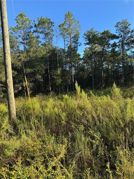 En Venta: $45,000 (1.04 acres)