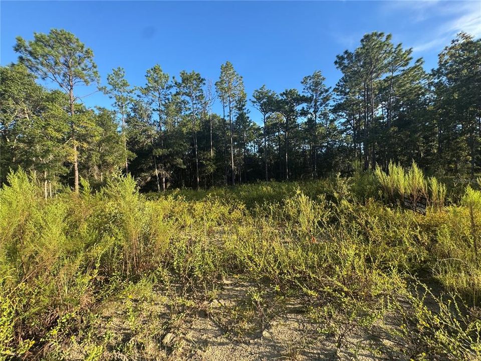 En Venta: $45,000 (1.04 acres)