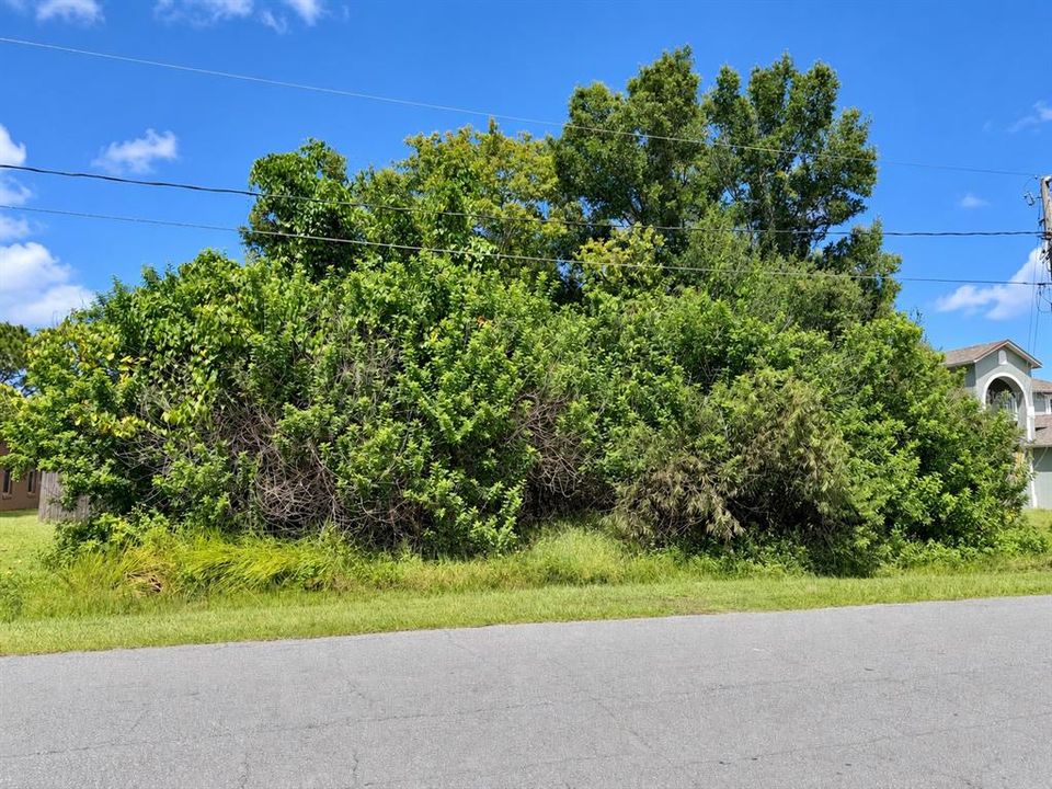 For Sale: $65,000 (0.29 acres)