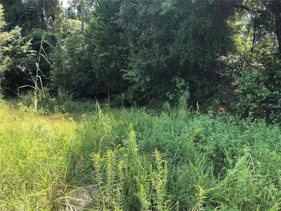 На продажу: $399,000 (0.96 acres)