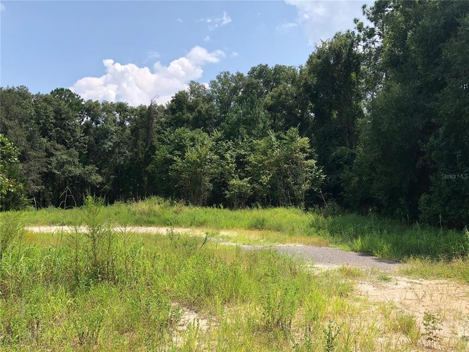 На продажу: $399,000 (0.96 acres)