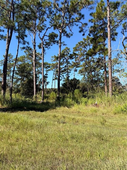 На продажу: $250,999 (2.01 acres)