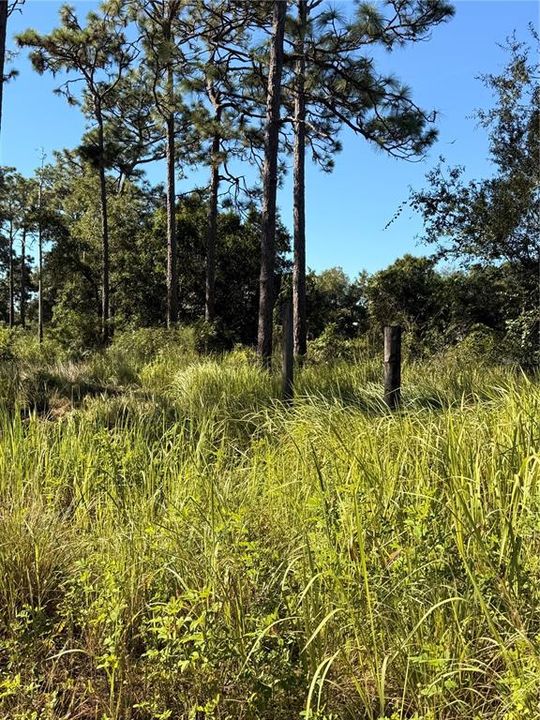 For Sale: $199,000 (2.01 acres)