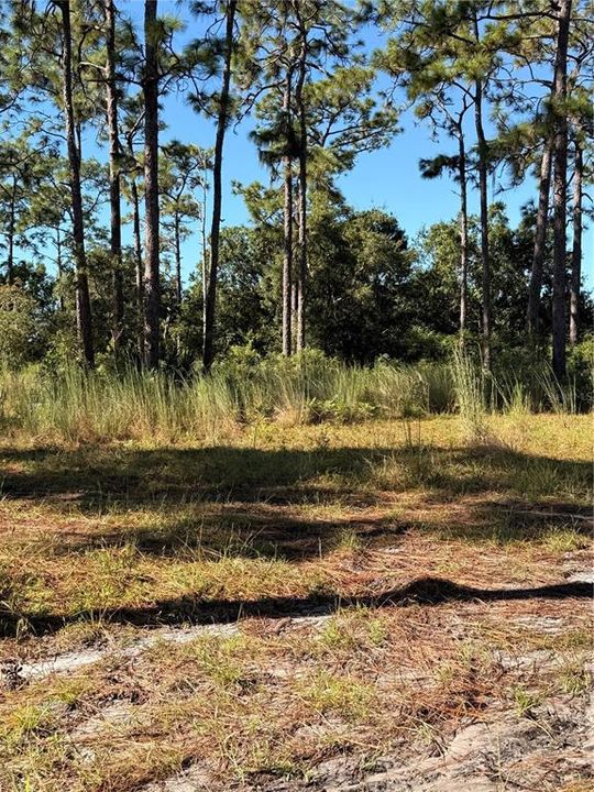 For Sale: $199,000 (2.01 acres)