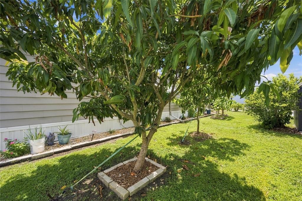 На продажу: $179,900 (2 спален, 2 ванн, 1462 Квадратных фут)