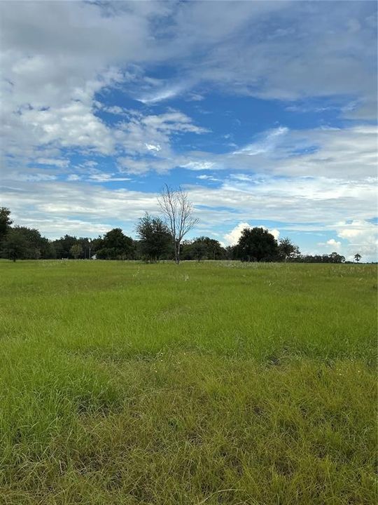 待售: $375,000 (5.19 acres)