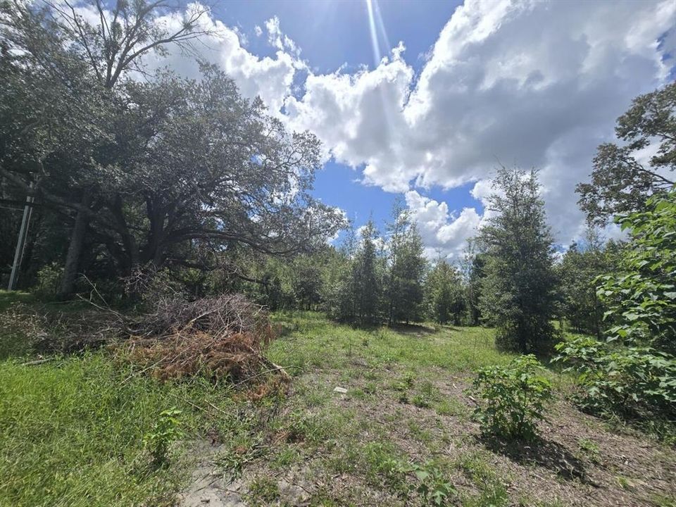 For Sale: $69,900 (1.01 acres)