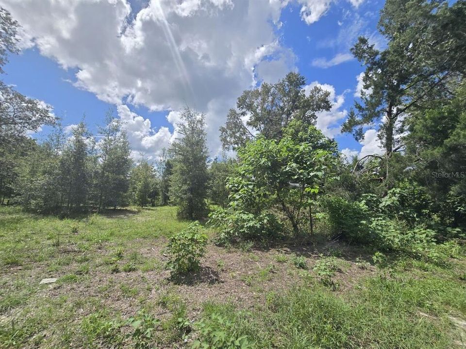 For Sale: $69,900 (1.01 acres)