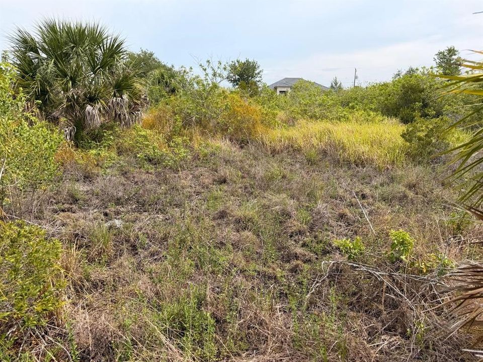 На продажу: $60,000 (0.23 acres)