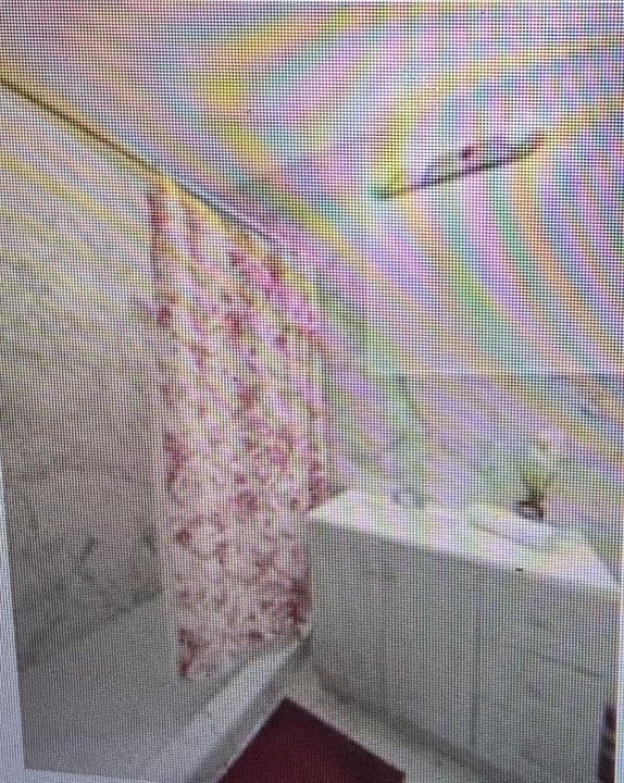 En Renta: $800 (1 camas, 1 baños, 264 Pies cuadrados)