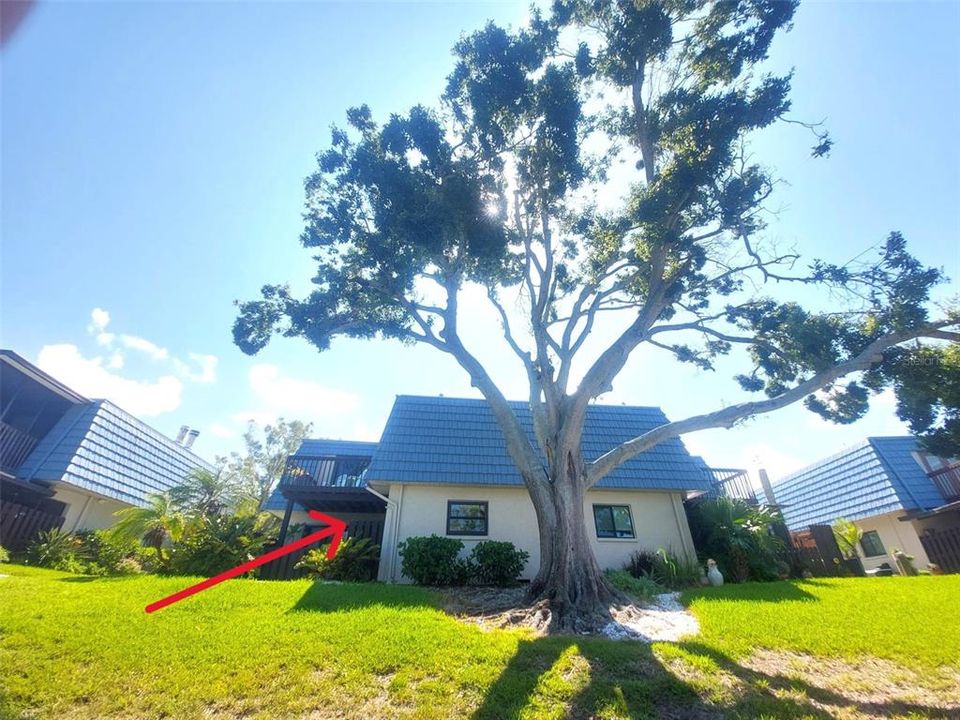 For Sale: $435,000 (2 beds, 2 baths, 1440 Square Feet)