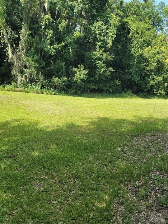 For Rent: $3,000 (5 beds, 2 baths, 2310 Square Feet)