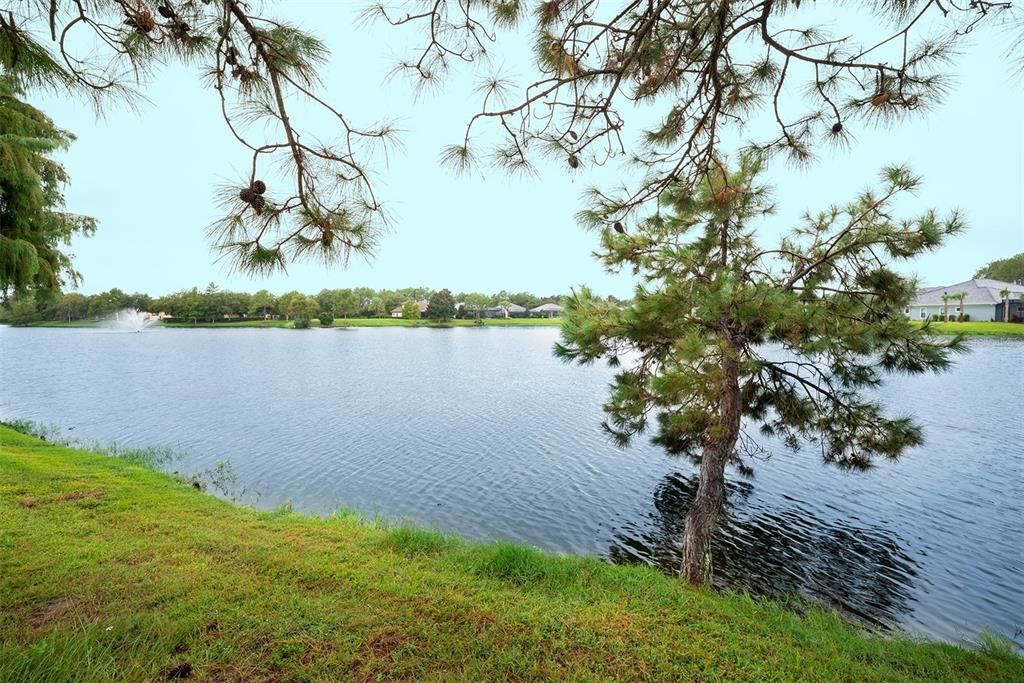 For Sale: $119,000 (0.17 acres)