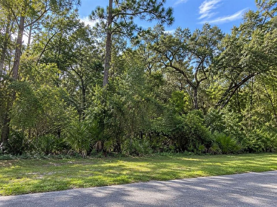 For Sale: $159,000 (1.32 acres)