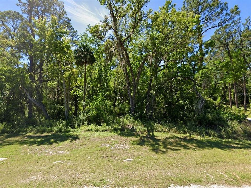For Sale: $159,000 (1.32 acres)