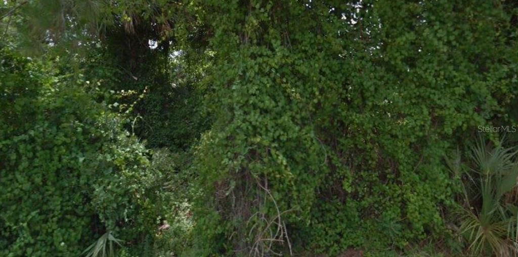 На продажу: $67,900 (0.29 acres)