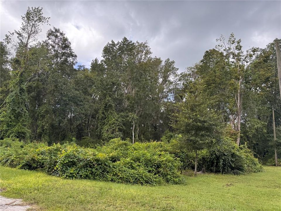 For Sale: $80,000 (1.00 acres)