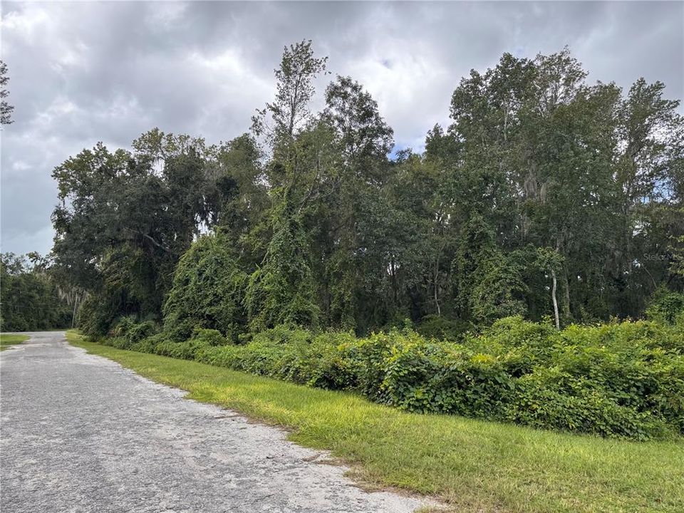For Sale: $80,000 (1.00 acres)