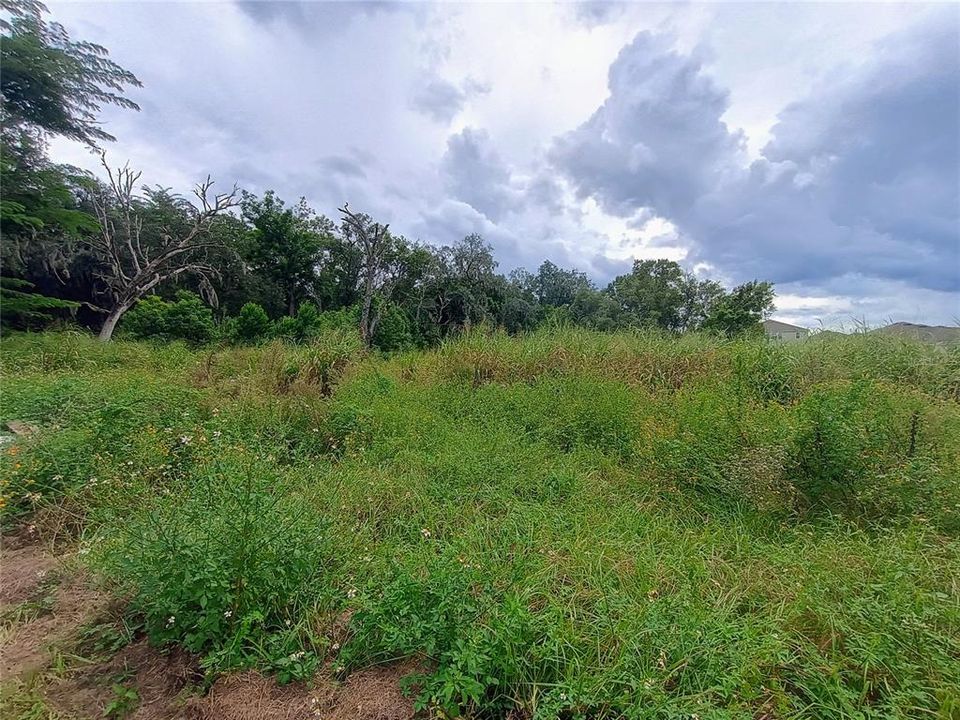 En Venta: $480,000 (3 camas, 2 baños, 1400 Pies cuadrados)