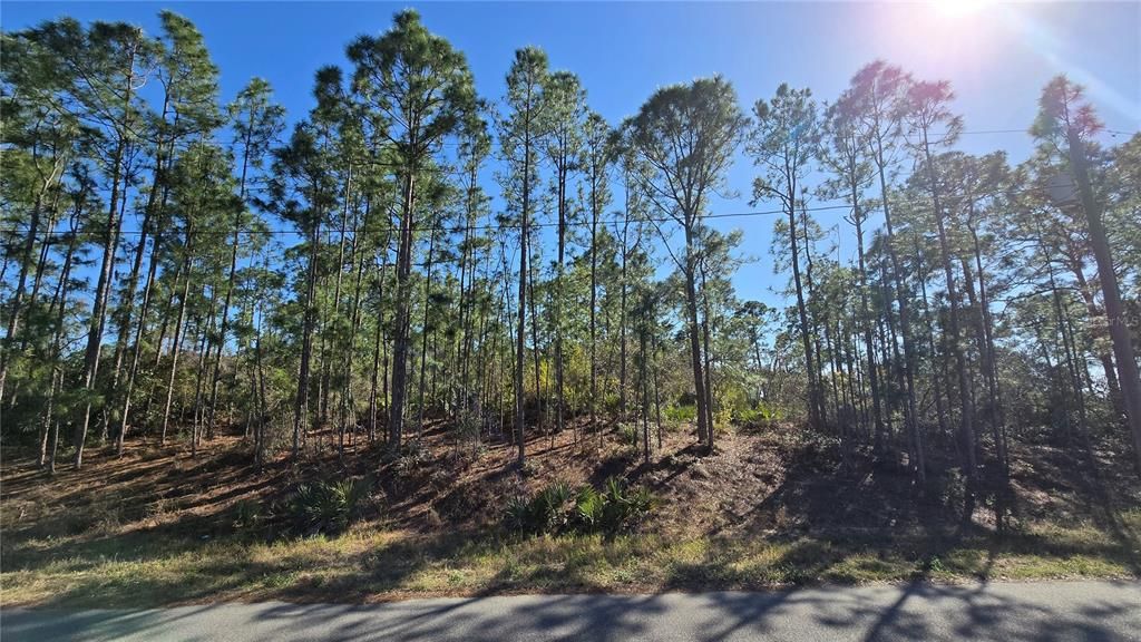 На продажу: $15,500 (0.24 acres)
