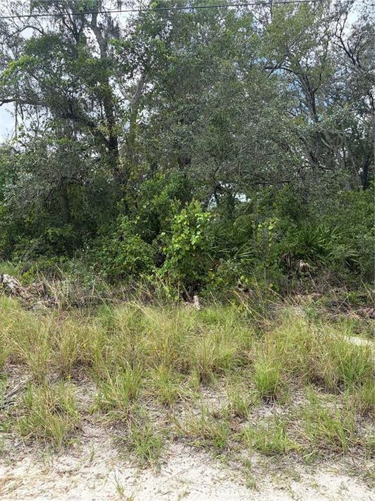 En Venta: $12,900 (0.18 acres)
