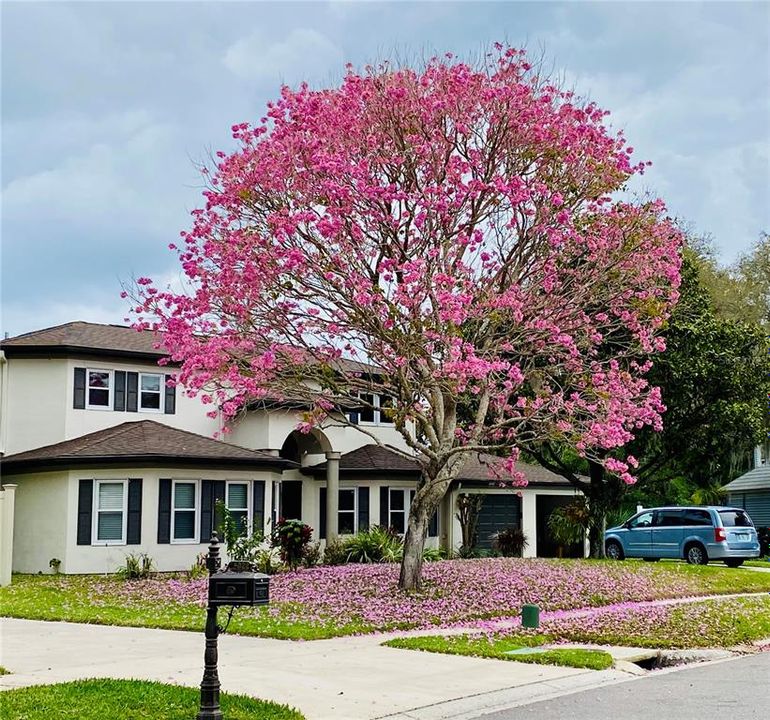 For Rent: $4,500 (4 beds, 2 baths, 3191 Square Feet)