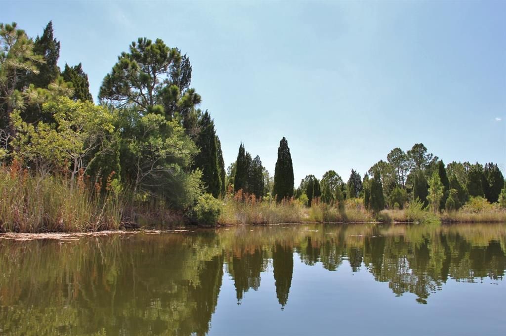 На продажу: $52,900 (0.17 acres)